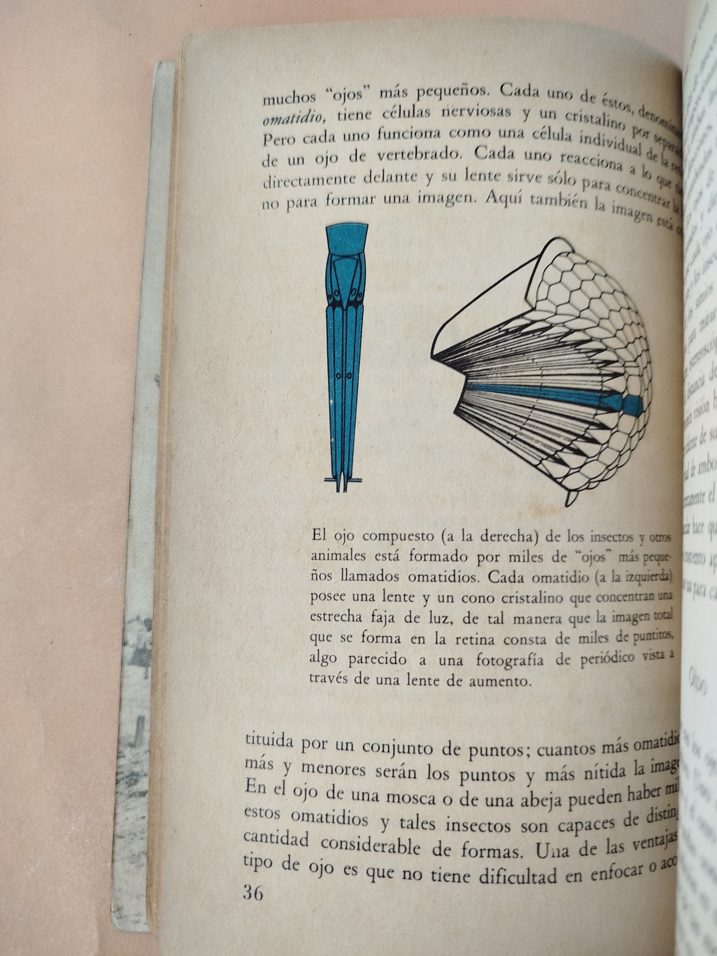 La conducta de los animales