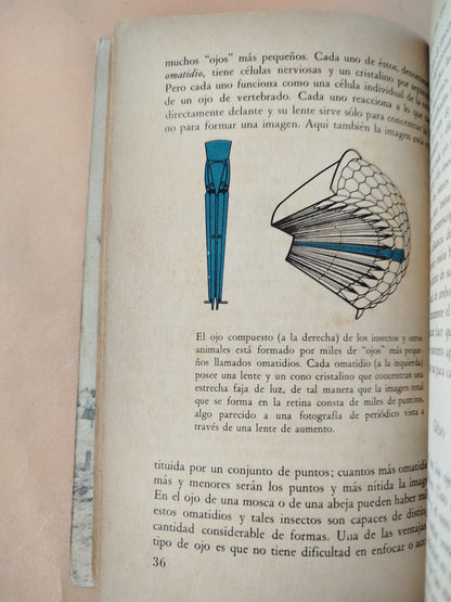 La conducta de los animales