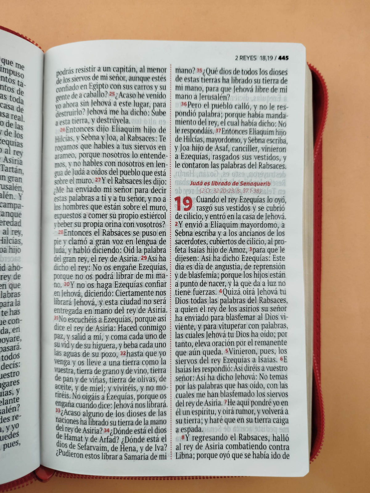 Biblia rvr letra grande salmón borde dorado by Reina Valera 1960
