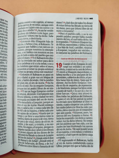 Biblia rvr letra grande salmón borde dorado