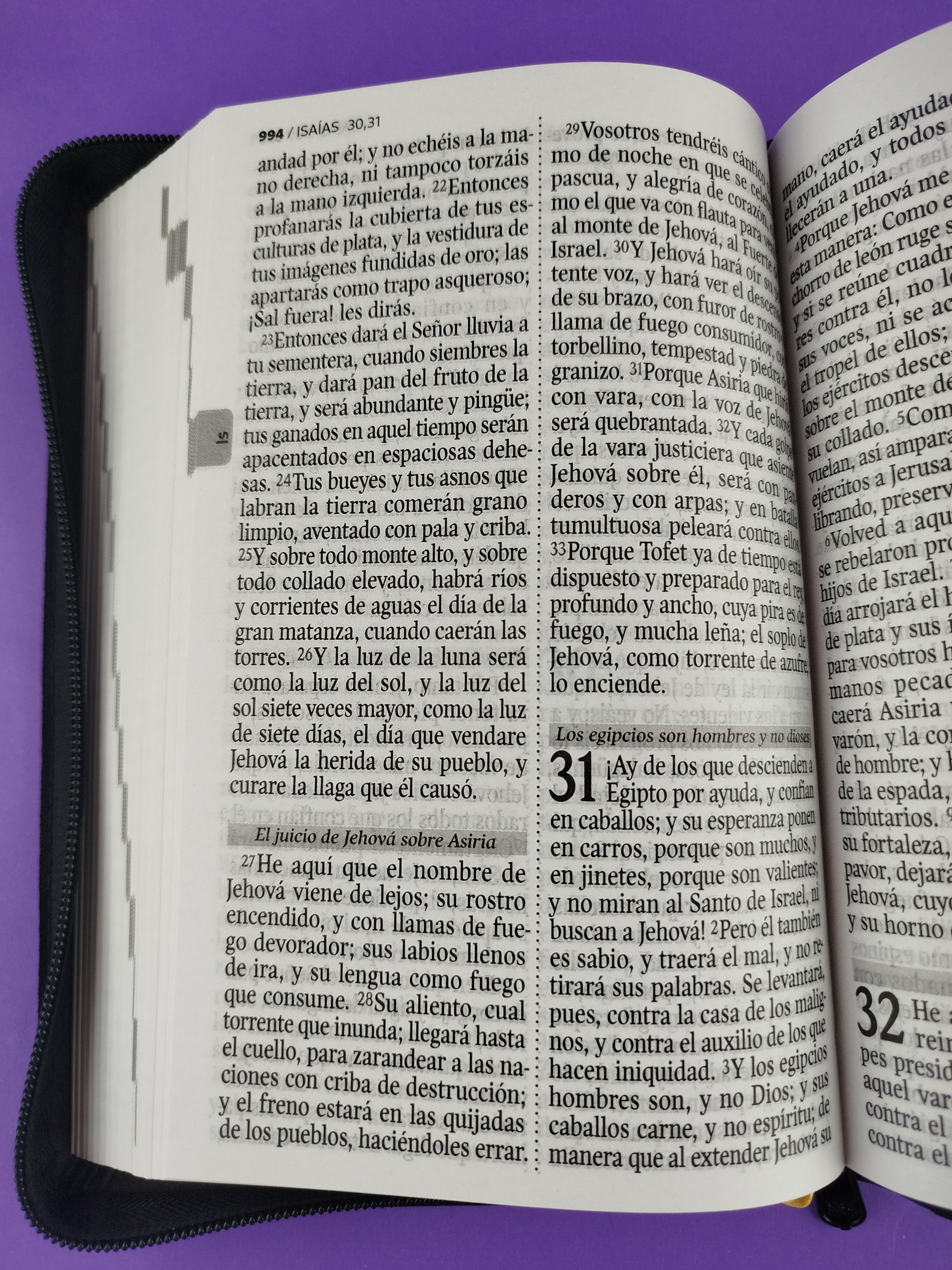 Biblia reina valera 1960 letra grande simi piel negra / canto blanco by Reina Valera 1960
