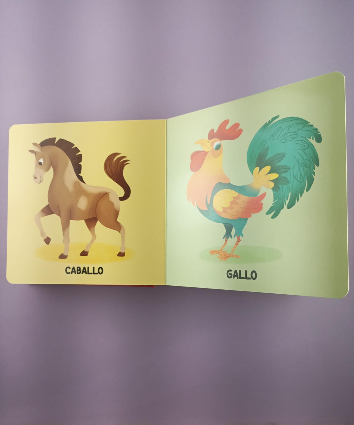 Mis primeros 50 animales