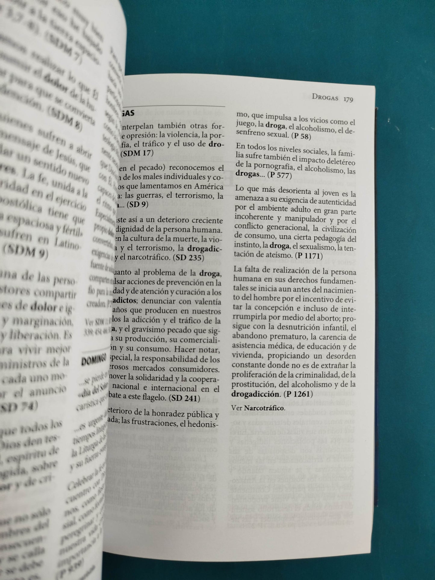 Diccionario rio Medellín puebla santo domingo