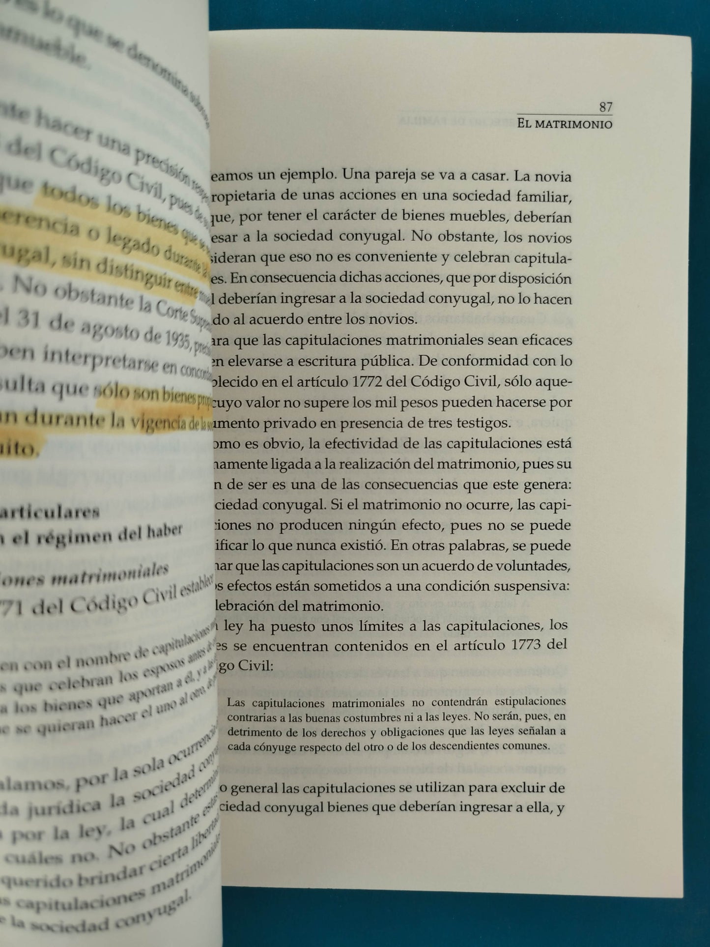 El abogado de la mujer y la familia