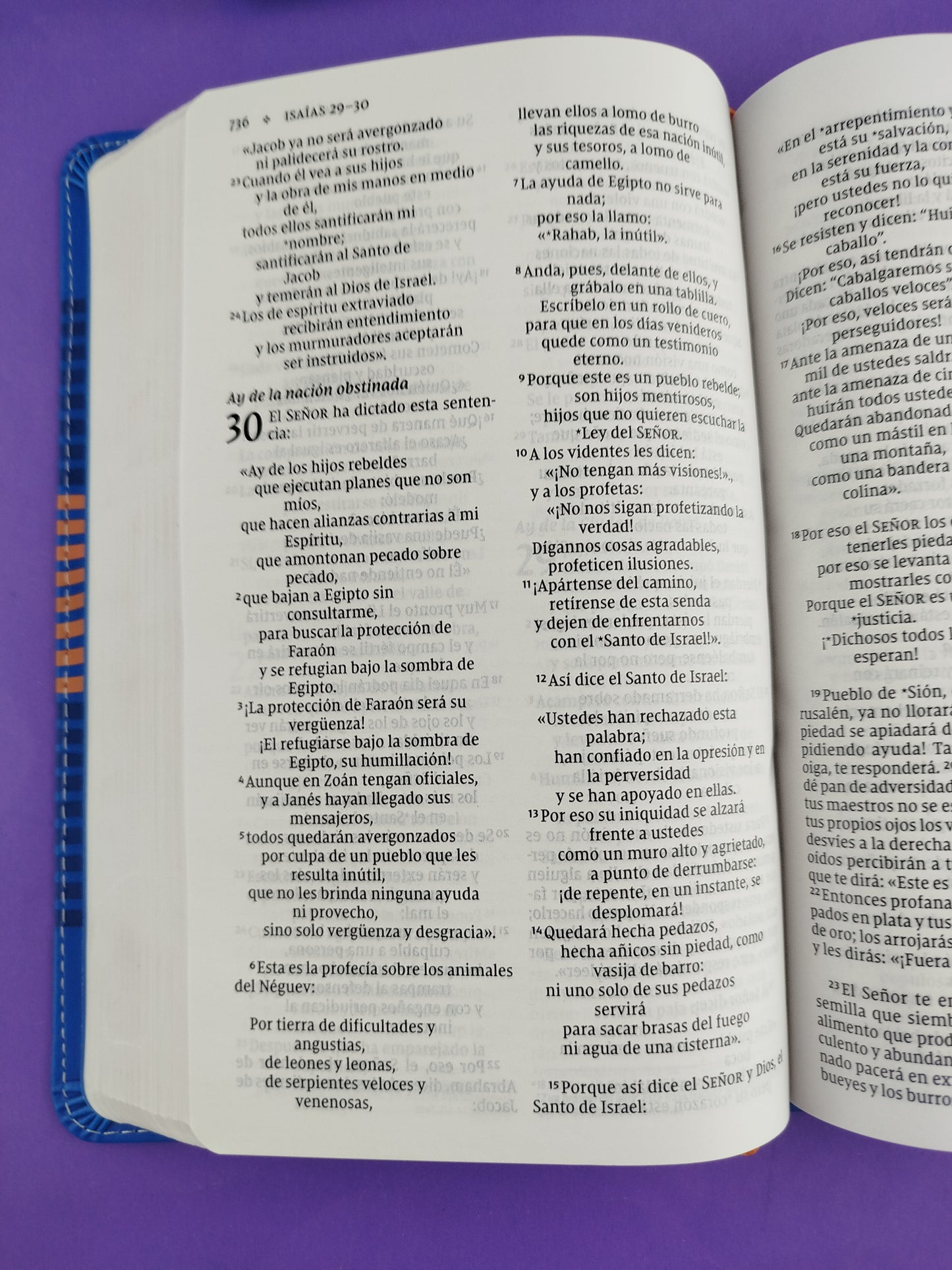 Biblia para niños nvi azul letra grande revisión 2022