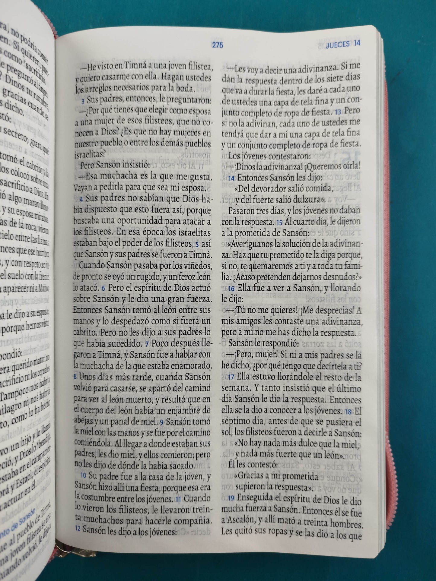 Biblia Tla Verde Menta - Rosa