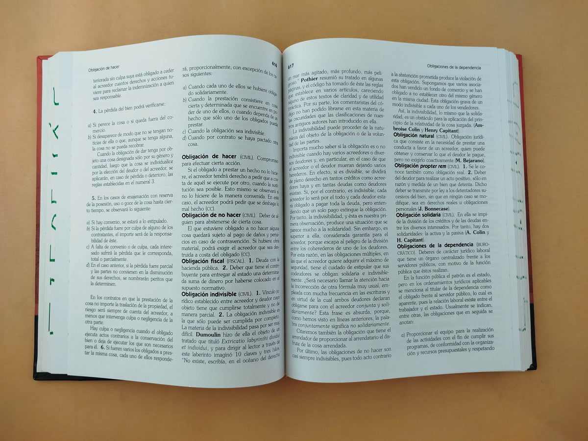 Diccionario jurídico moderno 2 Tomos by Rafael Martínez Morales
