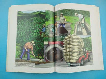 Entre Rios Y Montañas. La Colonizacion Antioqueña