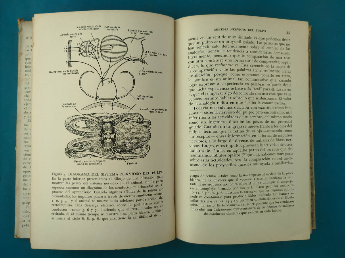 Duda Y Certeza En La Ciencia by J.z. Young