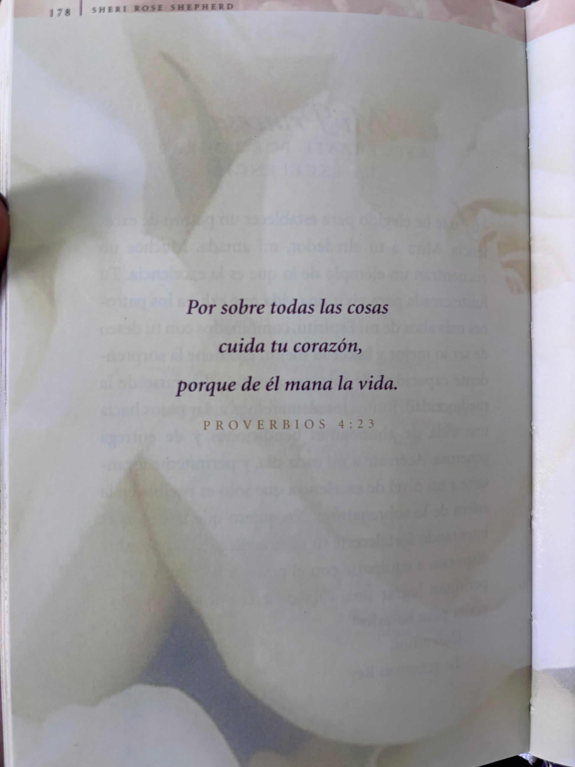Su princesa cartas de amor de tu rey by sheri rose shepherd