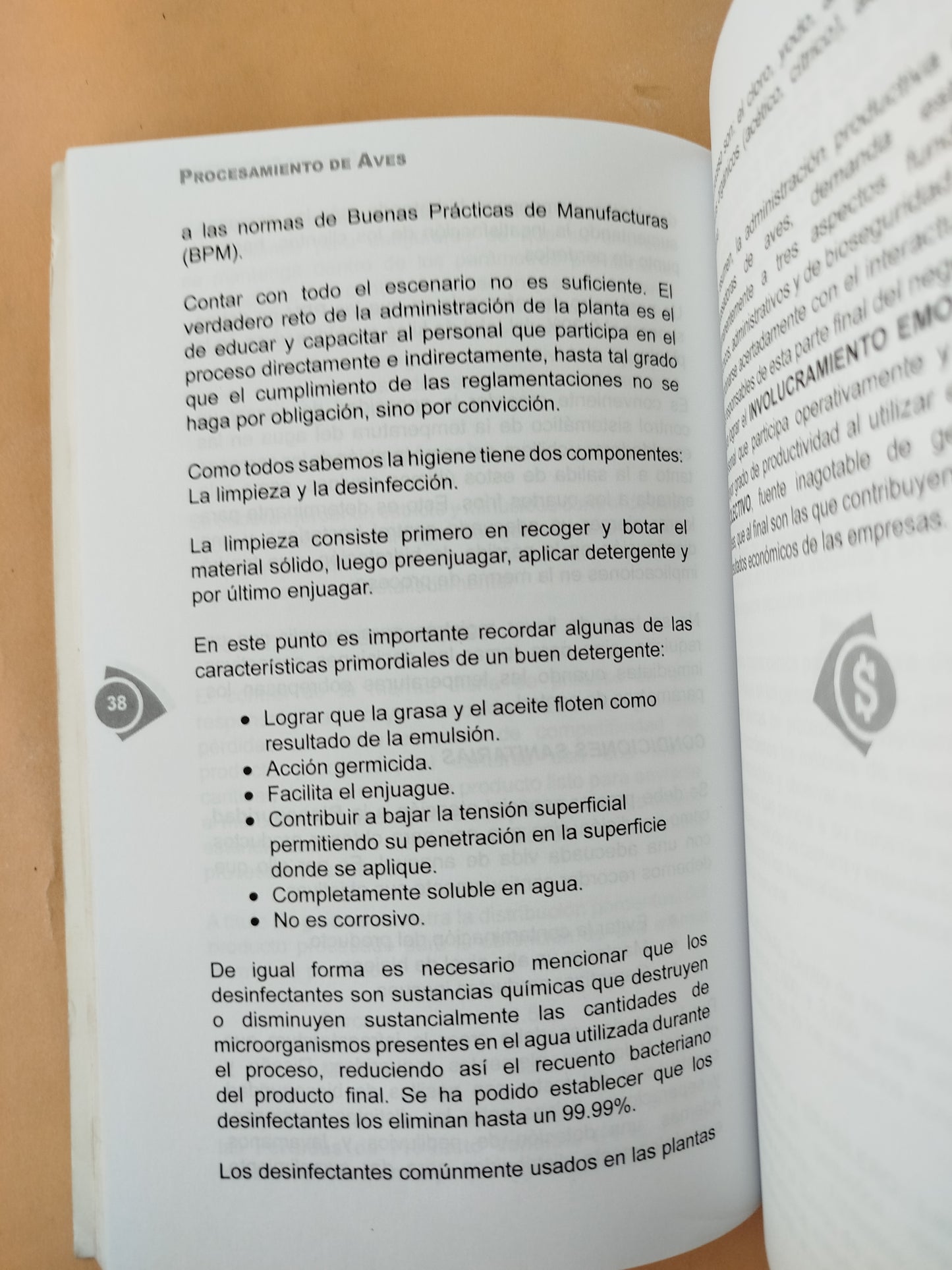 Procesamiento de aves gerencia productiva