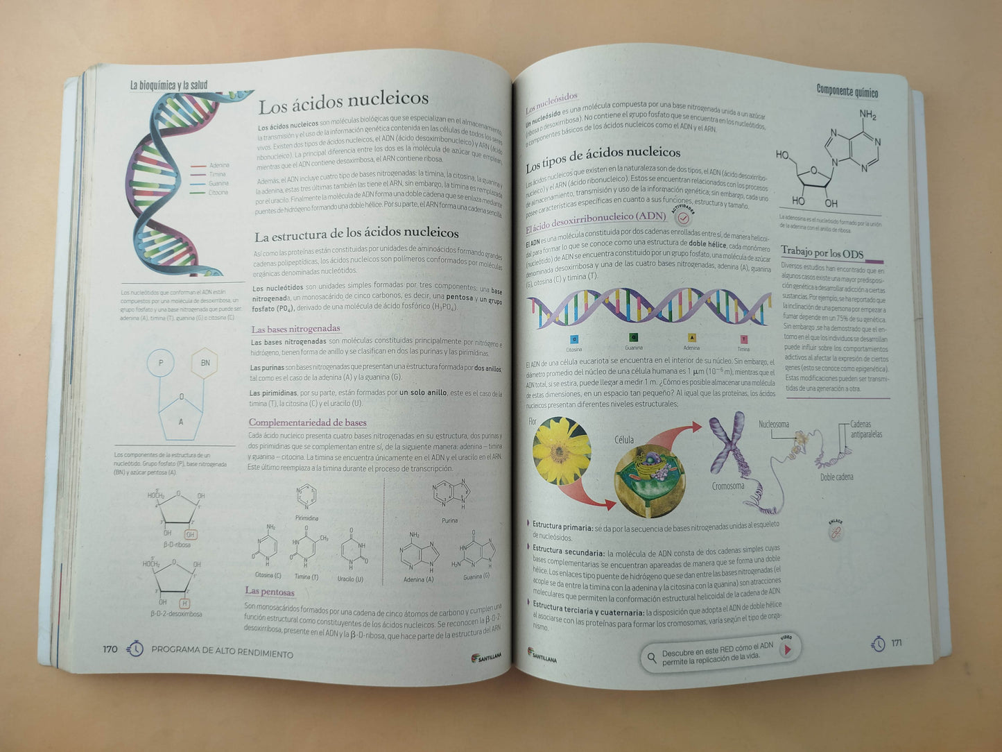 competencias científicas 11