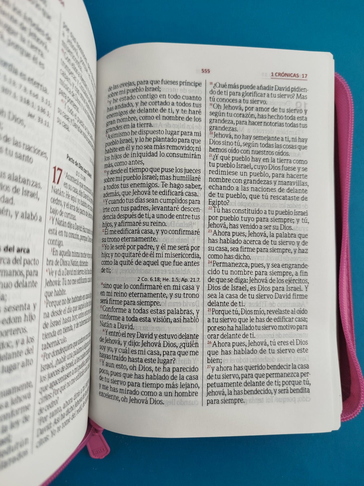 Biblia troquelada magenta flores canto plateado