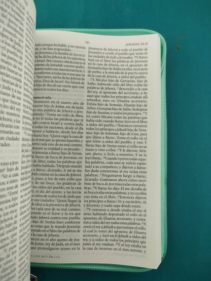 Biblia RVR 1960 Letra Grande Estuche Verde con Mariposas