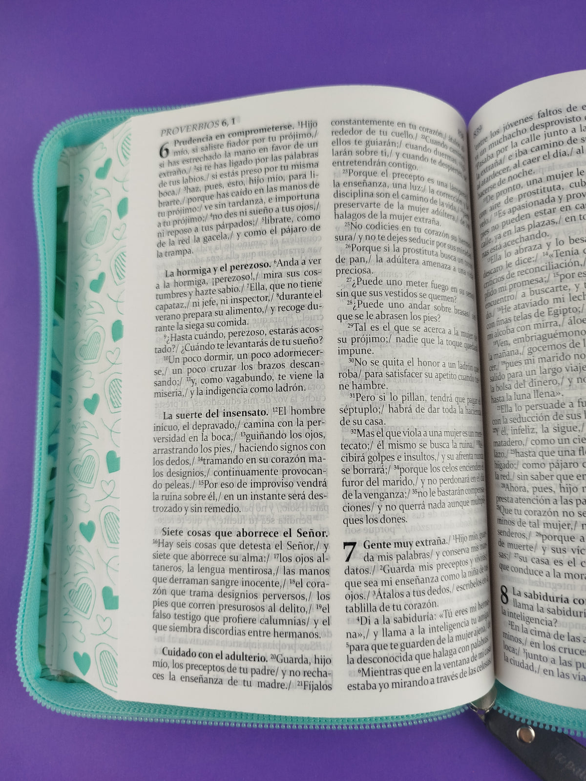 sagrada biblia de américa colección estuche verde menta / rosas by Varios