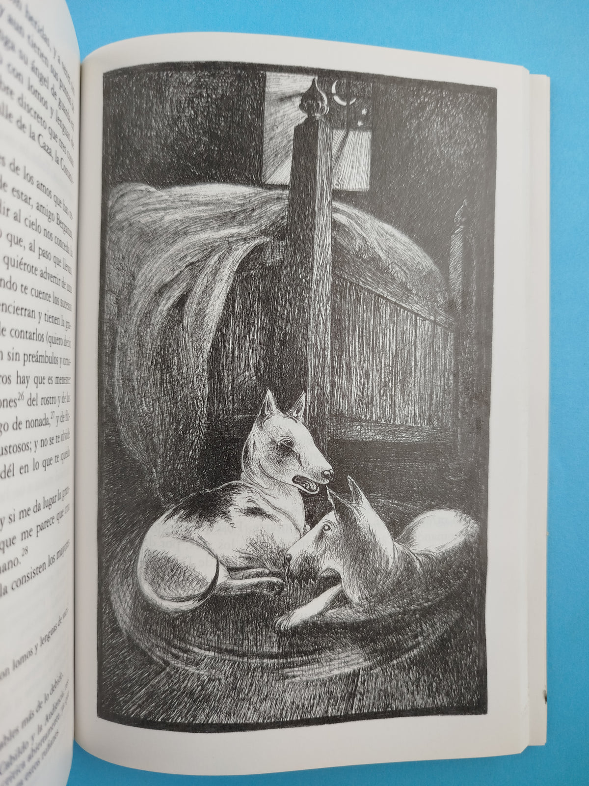 El licenciado vidriera y otras novelas ejemplares by Miguel de Cervantes