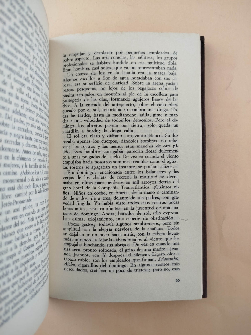 La náusea by Jean Paul Sartre