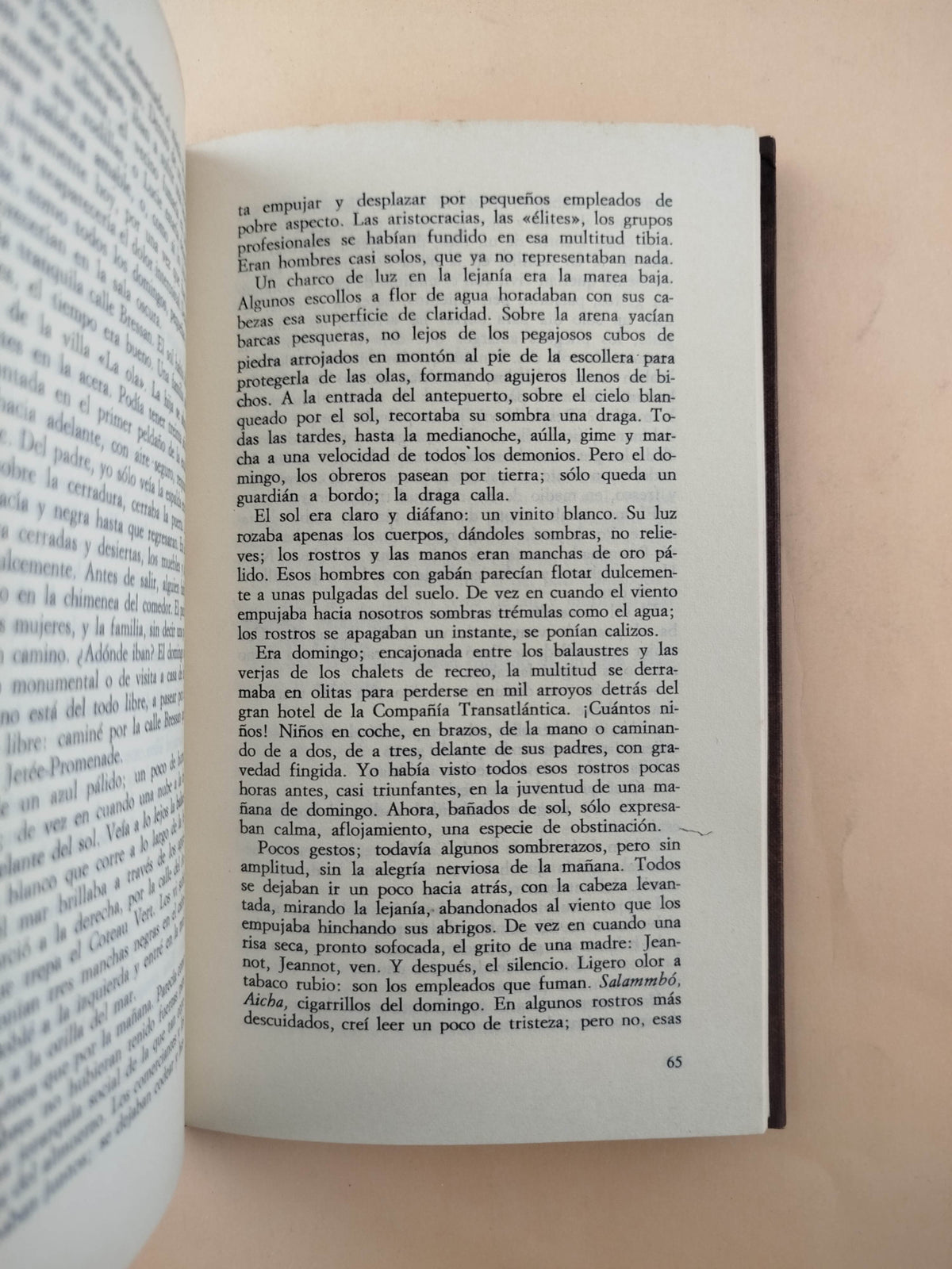 La náusea by Jean Paul Sartre