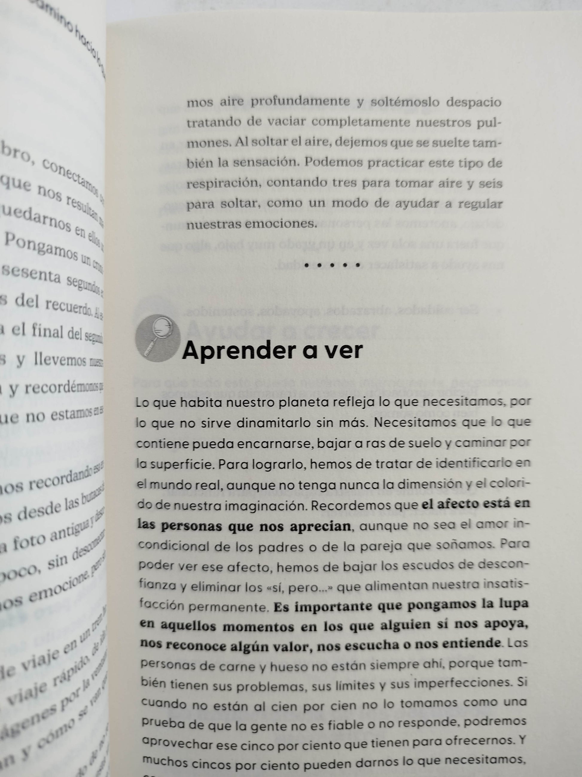 Lo que no pasó by Anabel Gonzalez