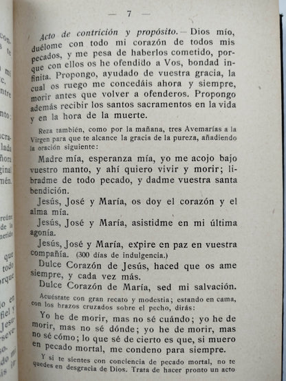 El apóstol del hogar by Adolfo Schilitter