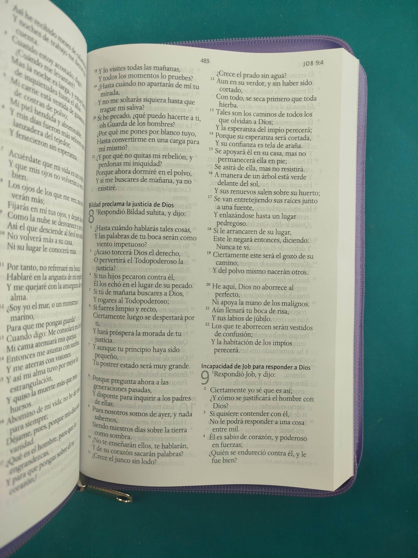 Biblia RVR 1960 Letra Grande con Estuche lila Nacarado