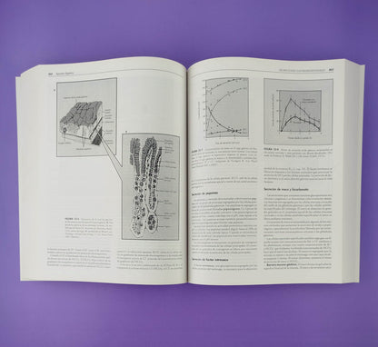 Fisiología segunda edición