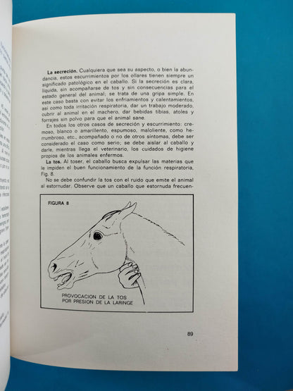 Cuidados del Caballo