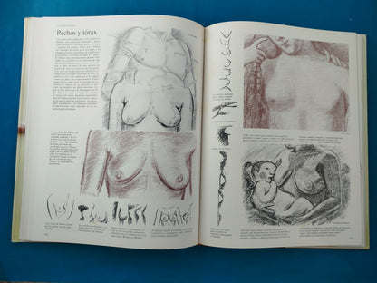 Dibujar con los grandes maestros