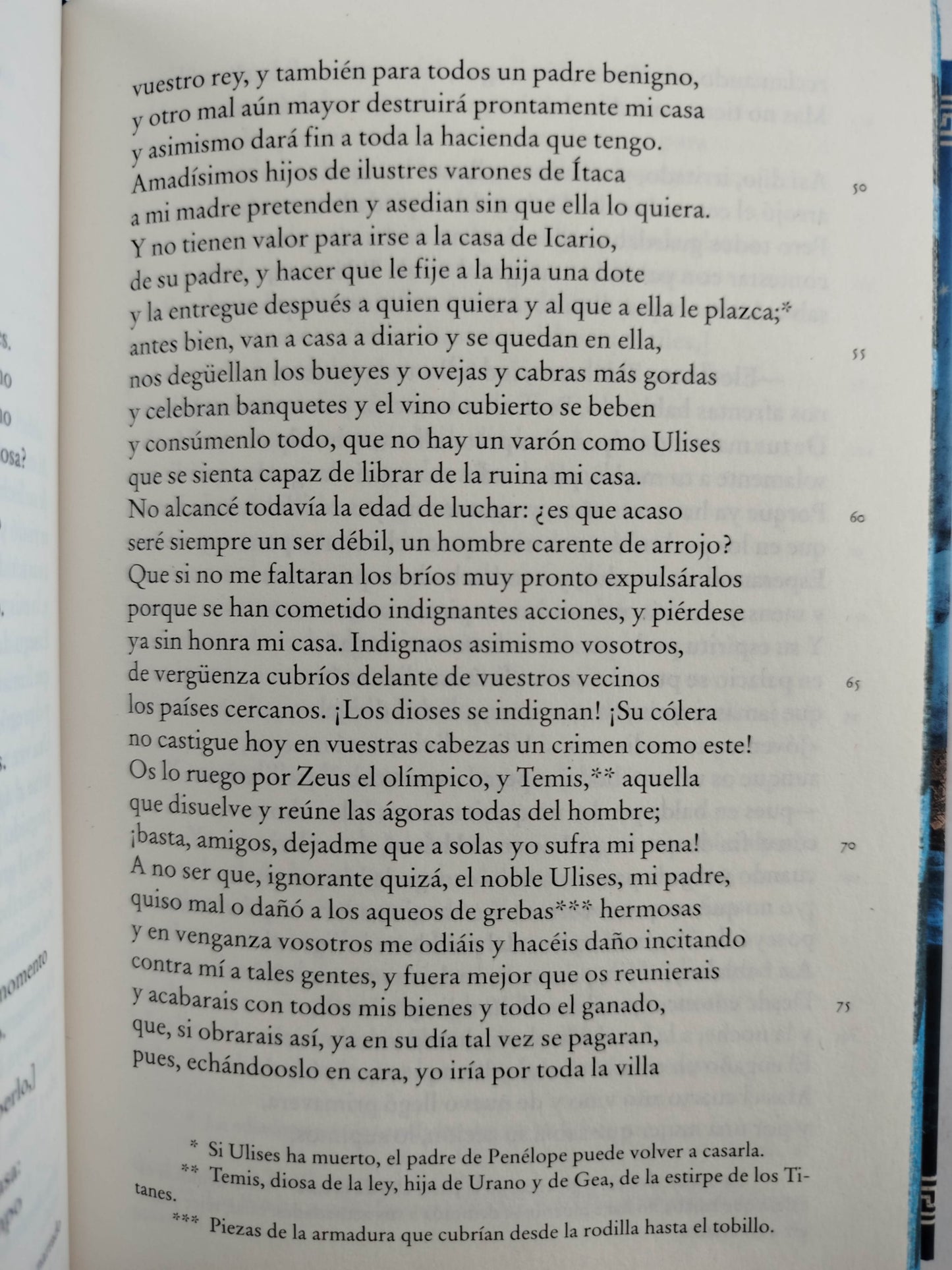 Odisea by Homero