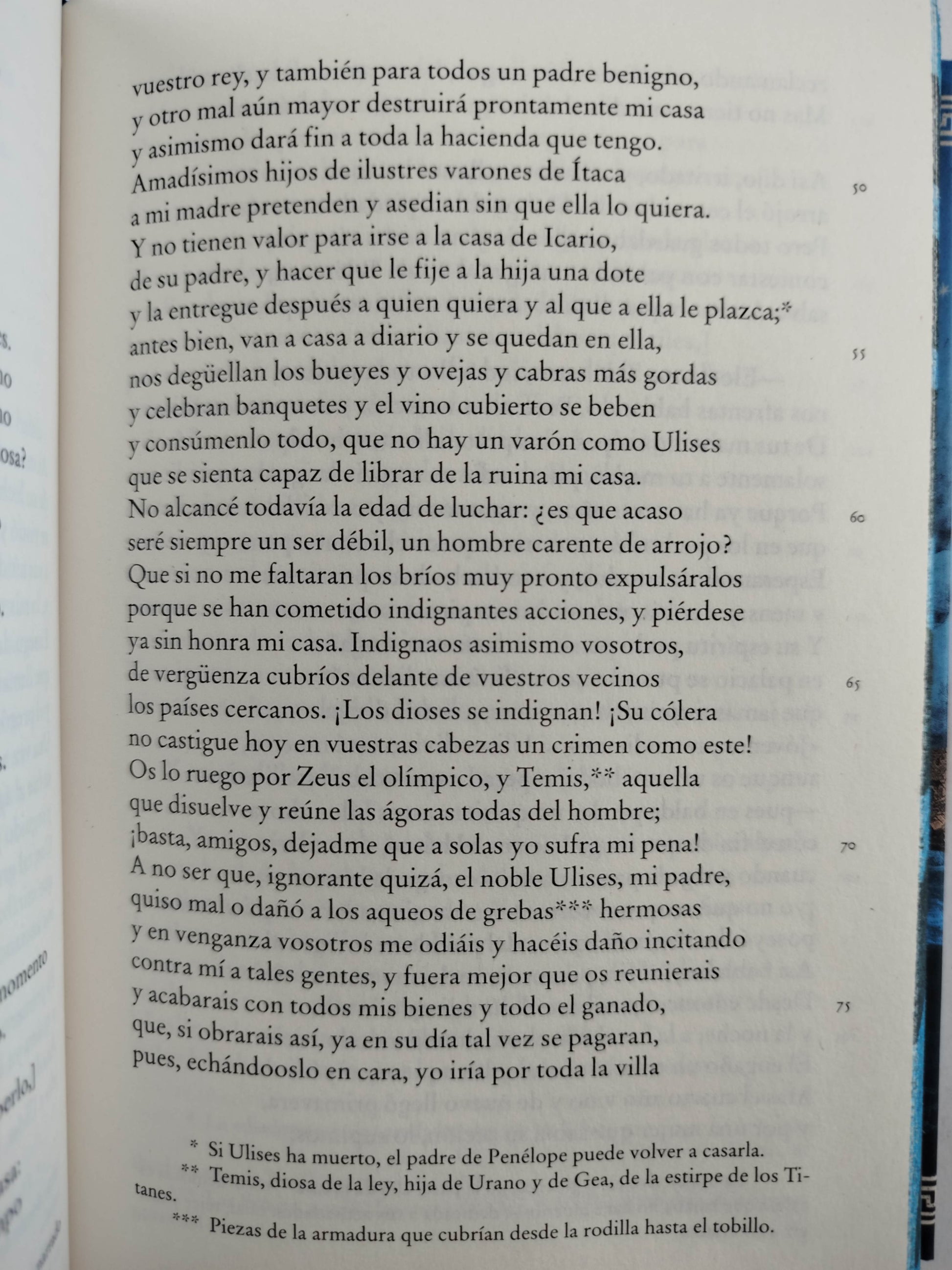 Odisea by Homero
