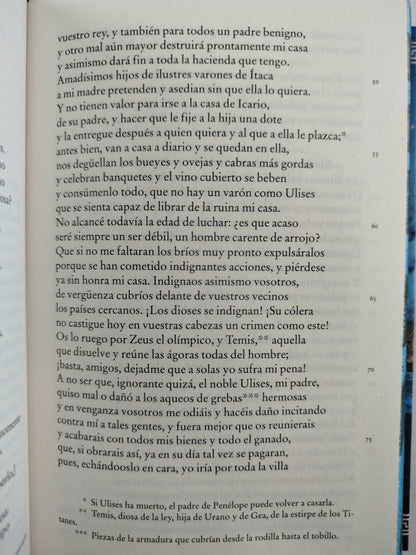 Odisea by Homero
