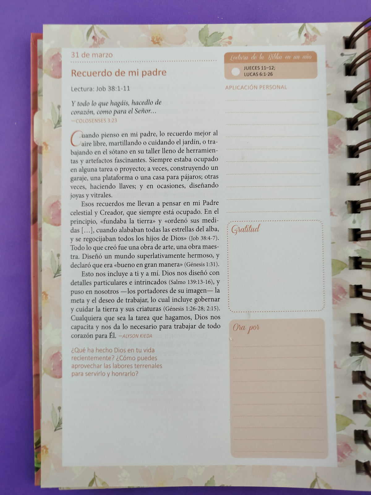 Devocional permanente mi plan con Dios 2025 coral by Varios