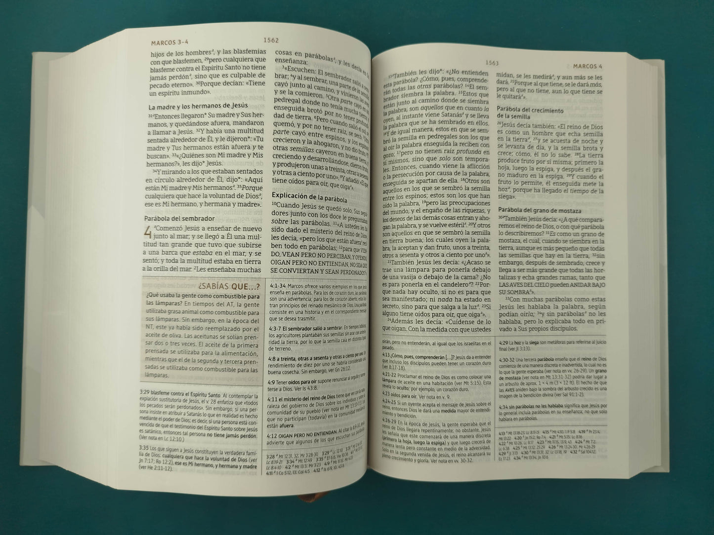 Biblia de estudio Nueva Biblia de las Américas Letra Grande Tapa dura