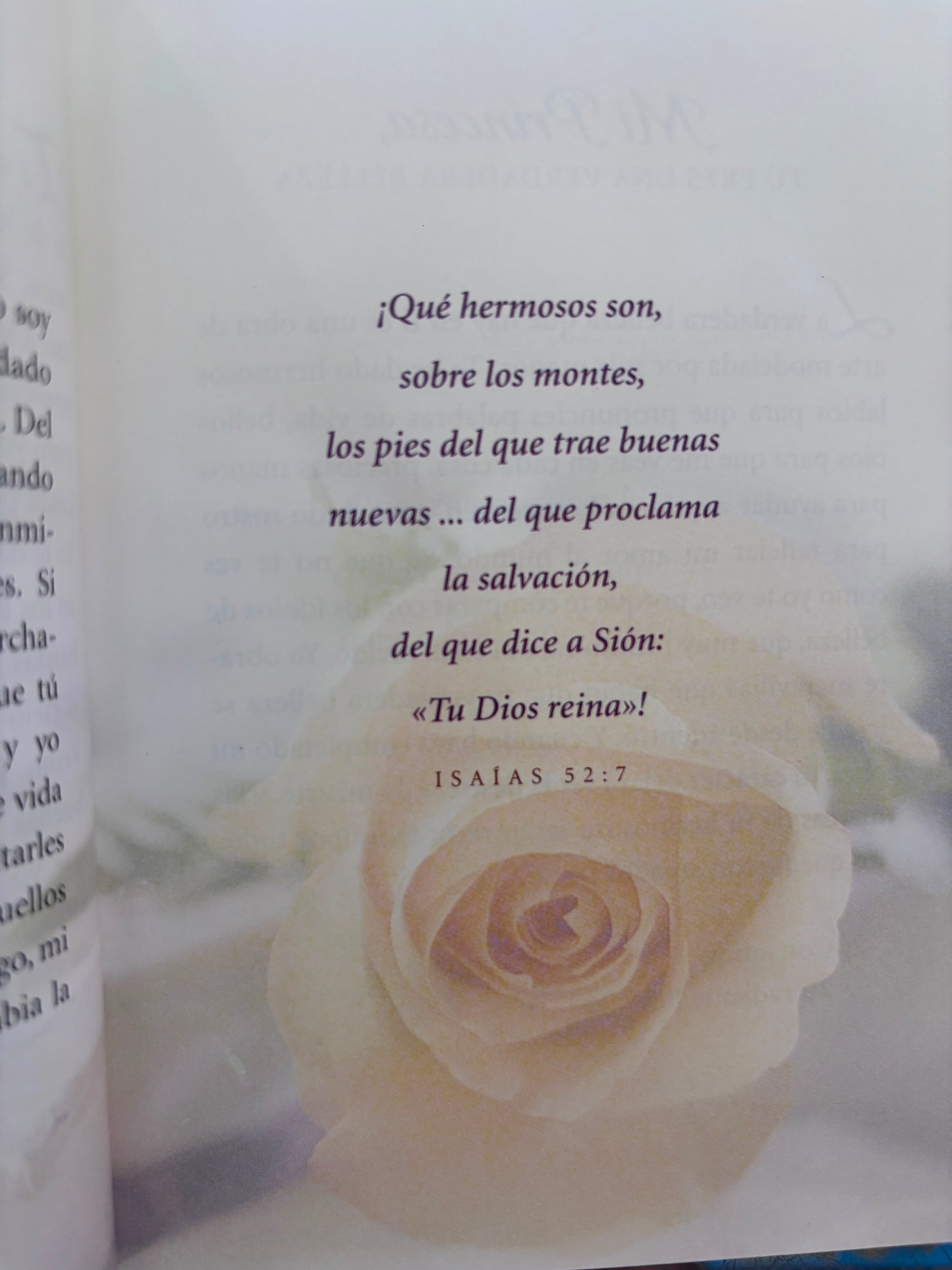 Su princesa cartas de amor de tu rey by sheri rose shepherd