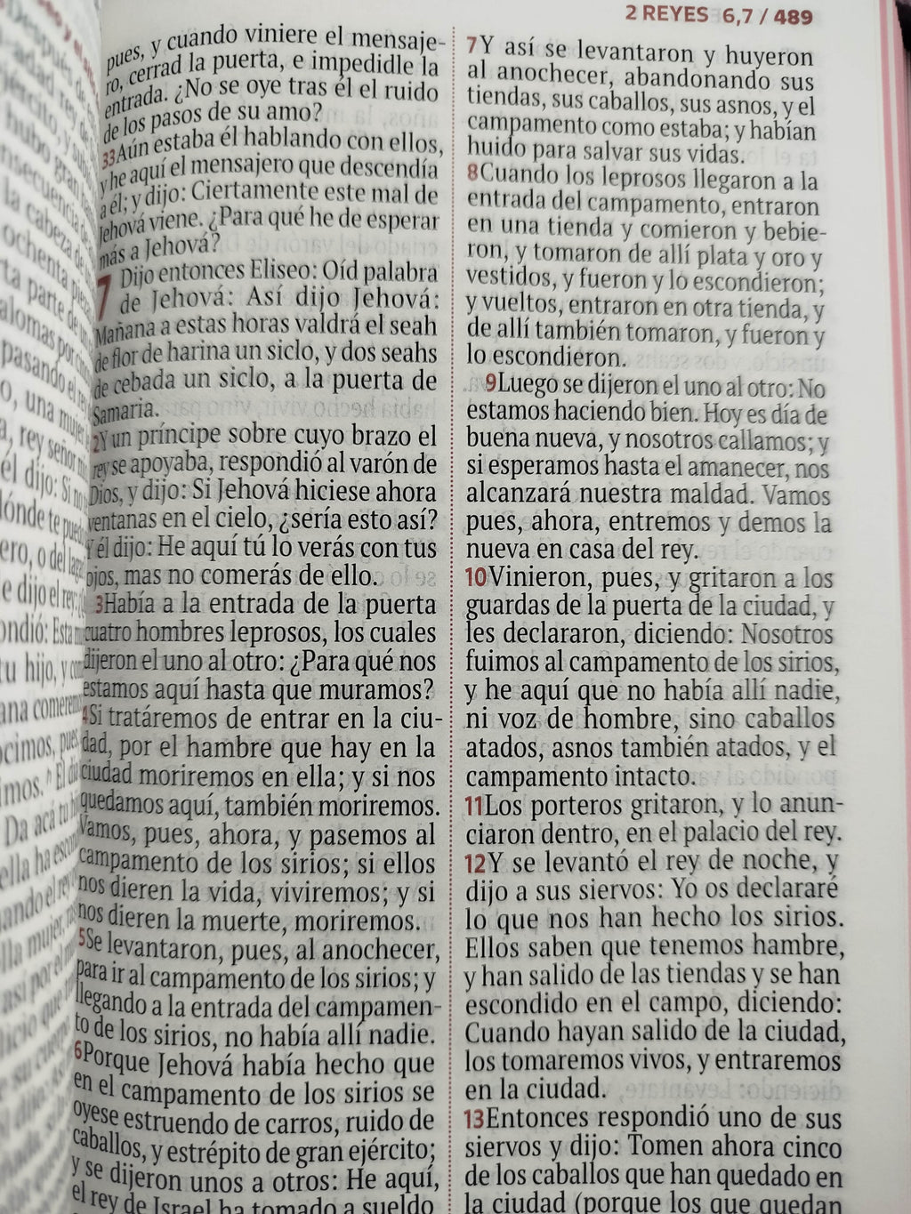 Biblia rvr letra grande rosada flores by Reina Valera 1960