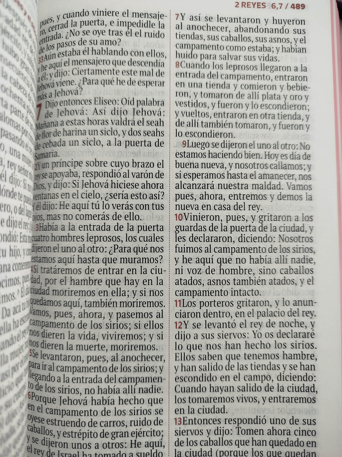 Biblia rvr letra grande rosada flores by Reina Valera 1960