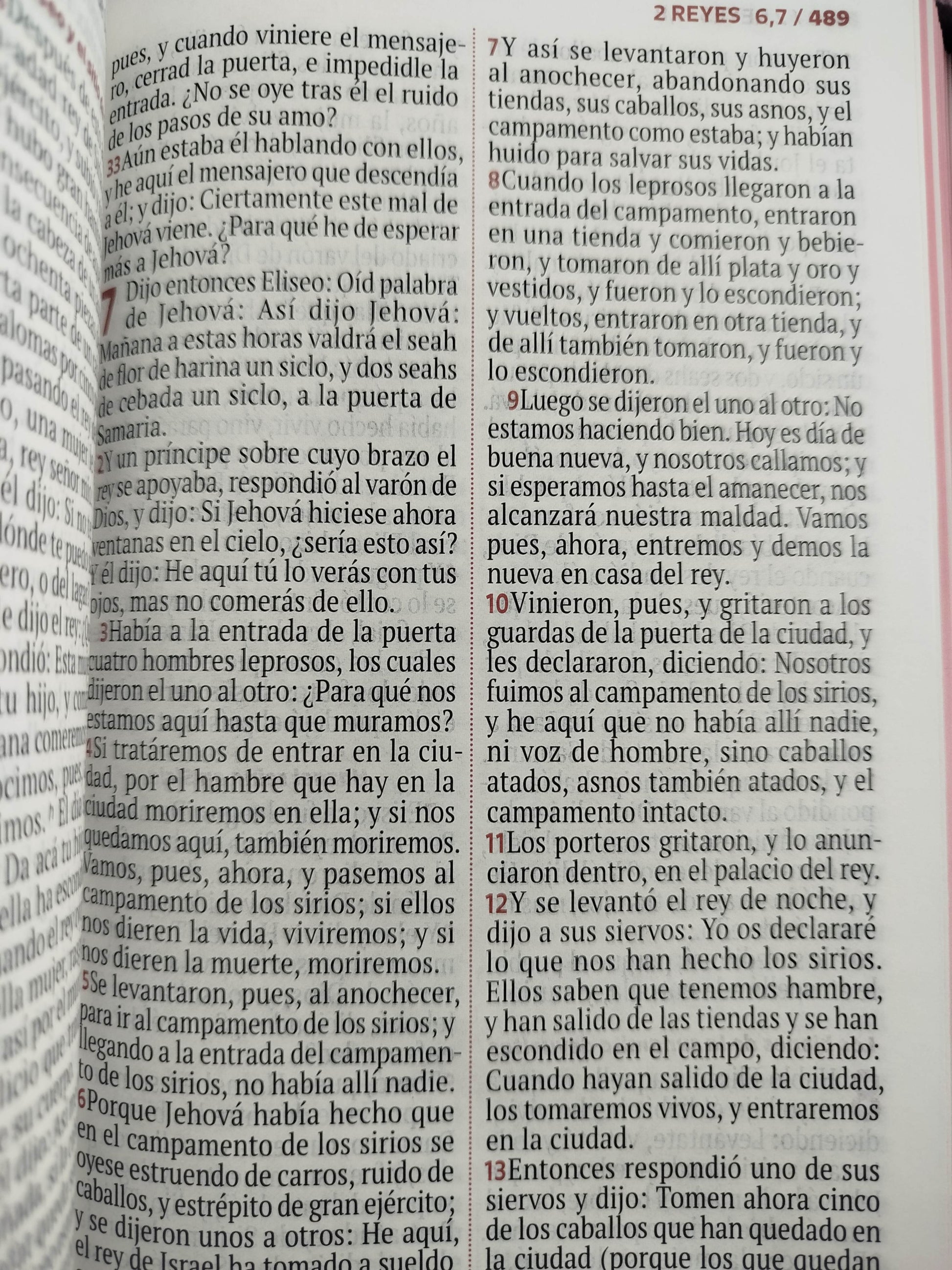 Biblia rvr letra grande rosada flores by Reina Valera 1960