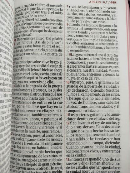 Biblia rvr letra grande rosada flores by Reina Valera 1960