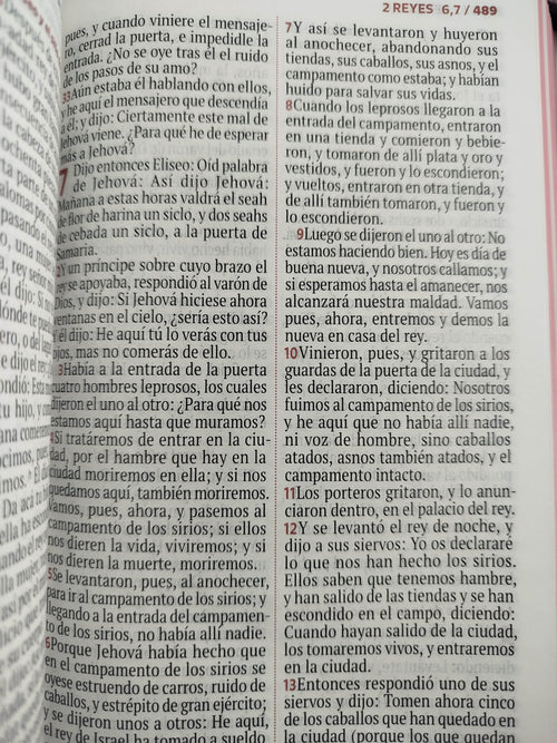 Biblia rvr letra grande rosada flores by Reina Valera 1960