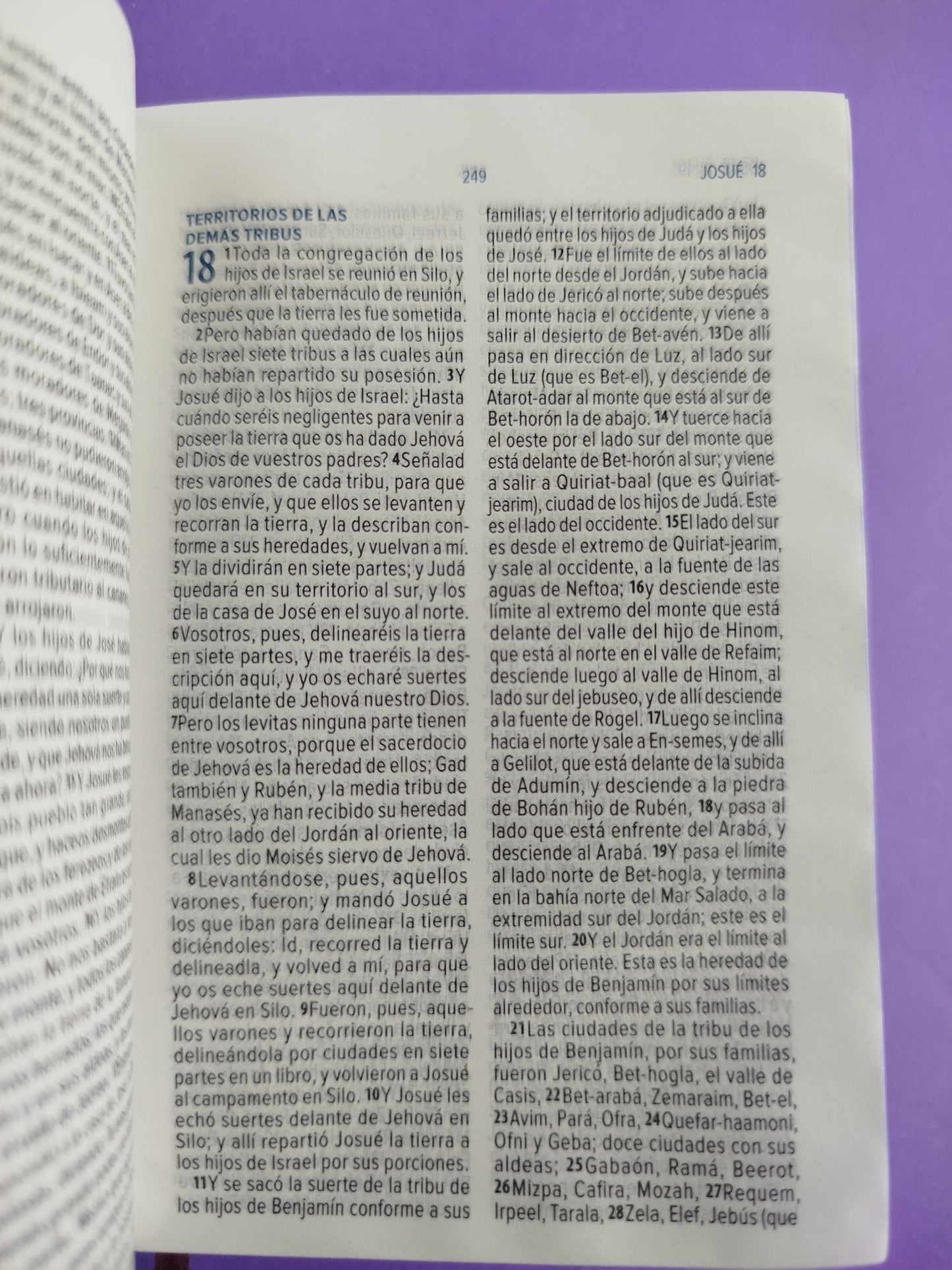 Biblia mini vinilo especial canto morado