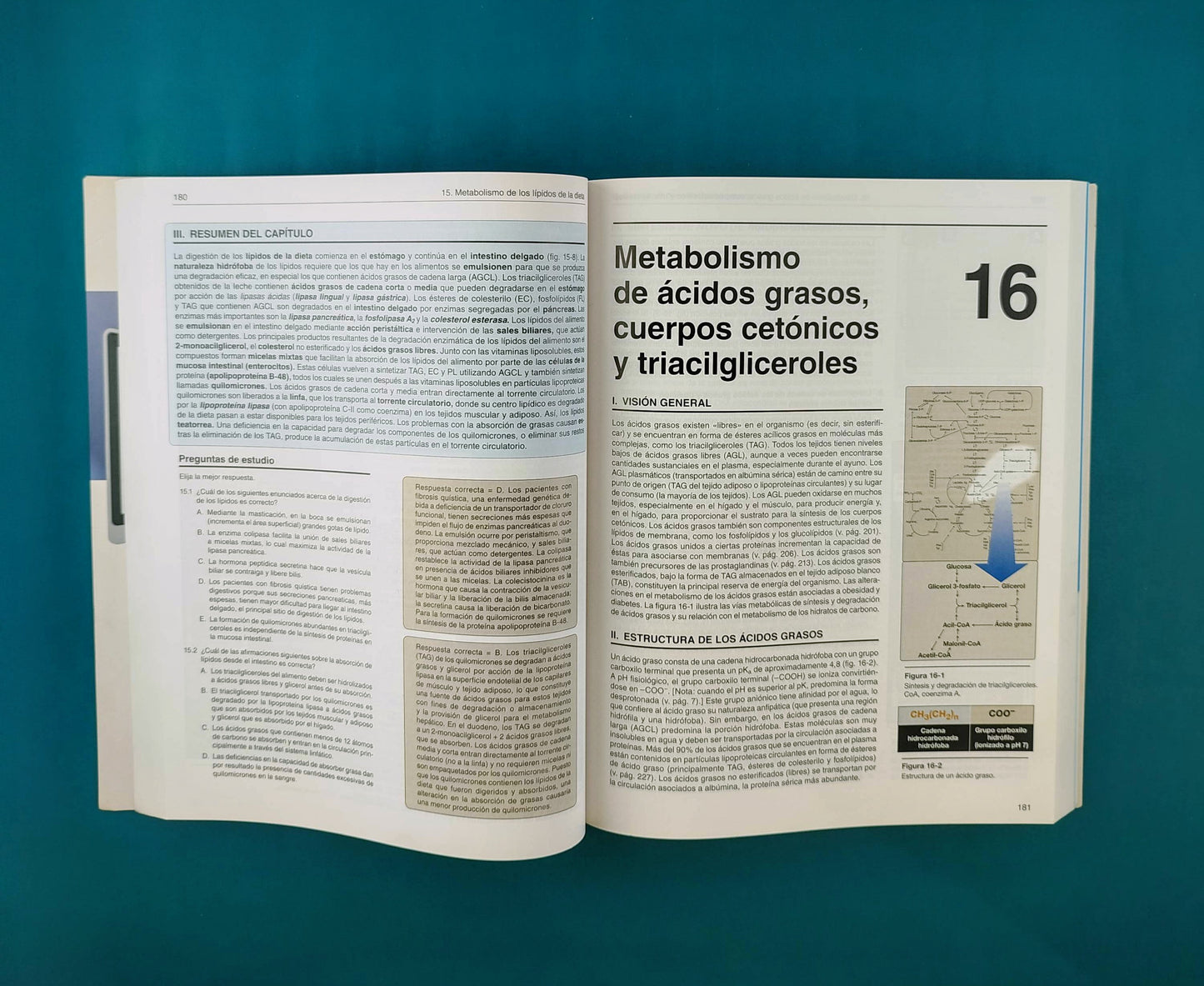 Lippincot´s illustrated reviews bioquímica sexta edición