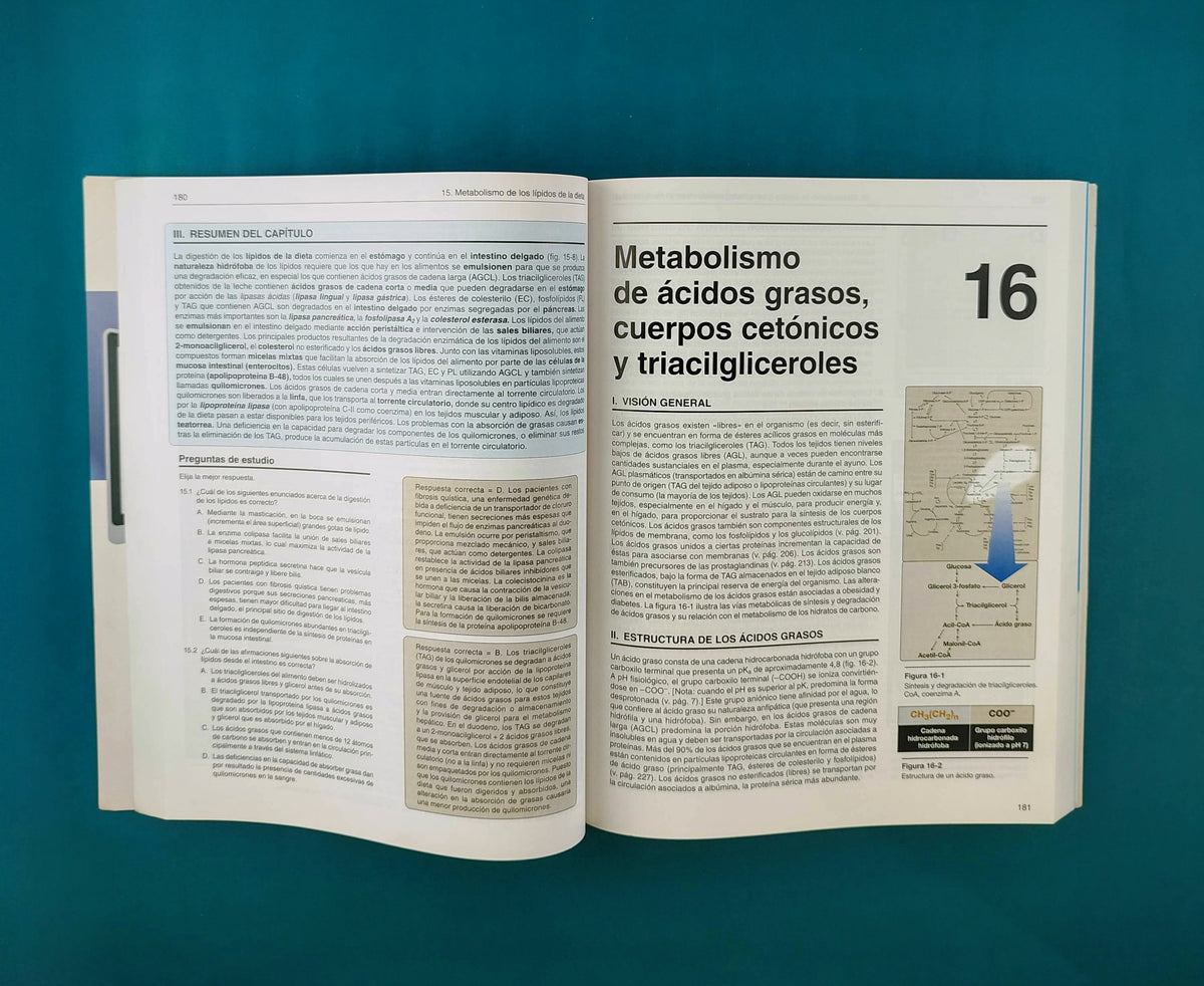 Lippincot´s illustrated reviews bioquímica sexta edición by Denise R Ferrer