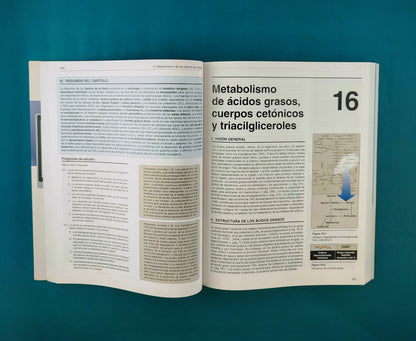 Lippincot´s illustrated reviews bioquímica sexta edición