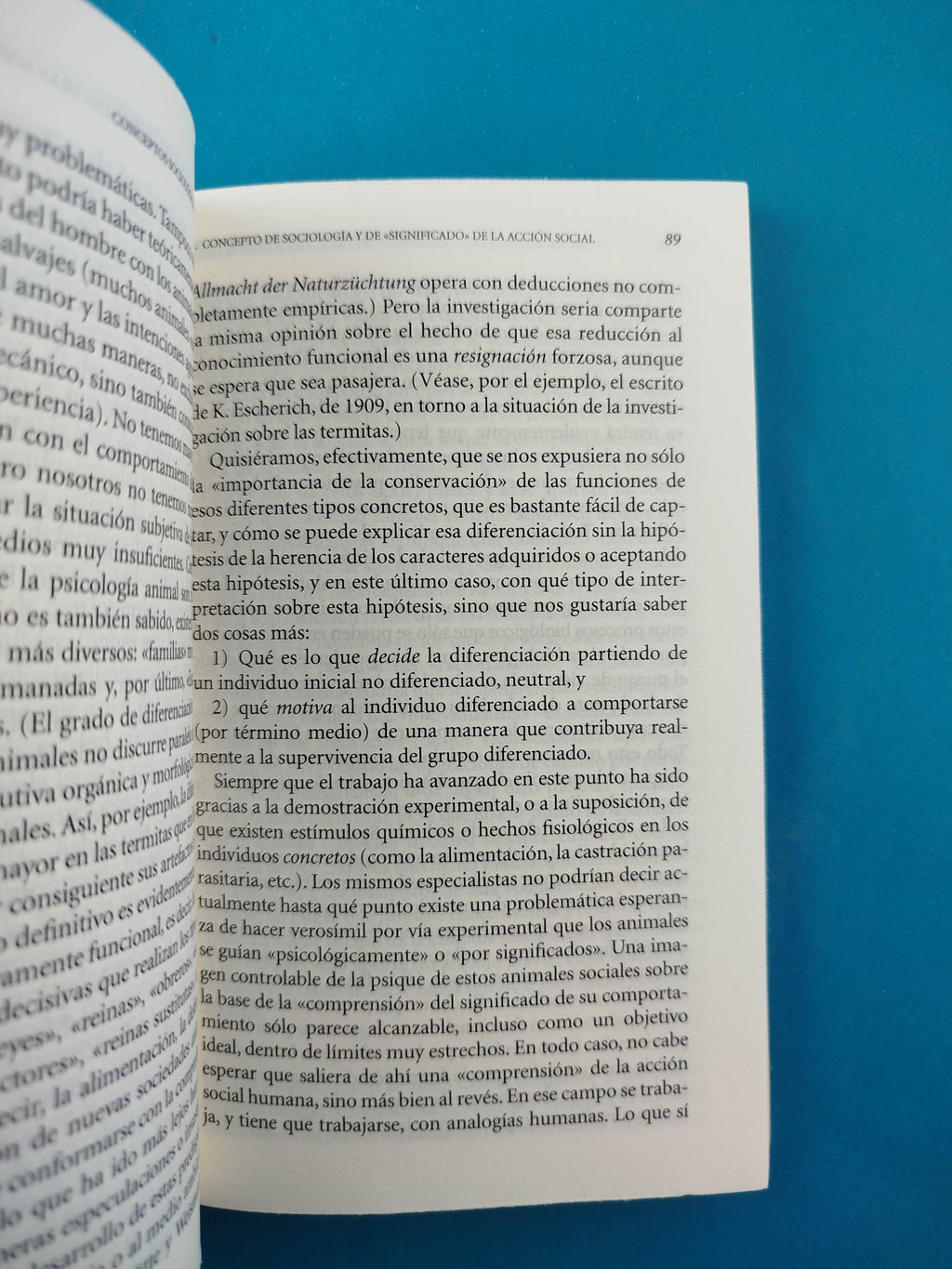 Conceptos sociológicos fundamentales by Max Weber