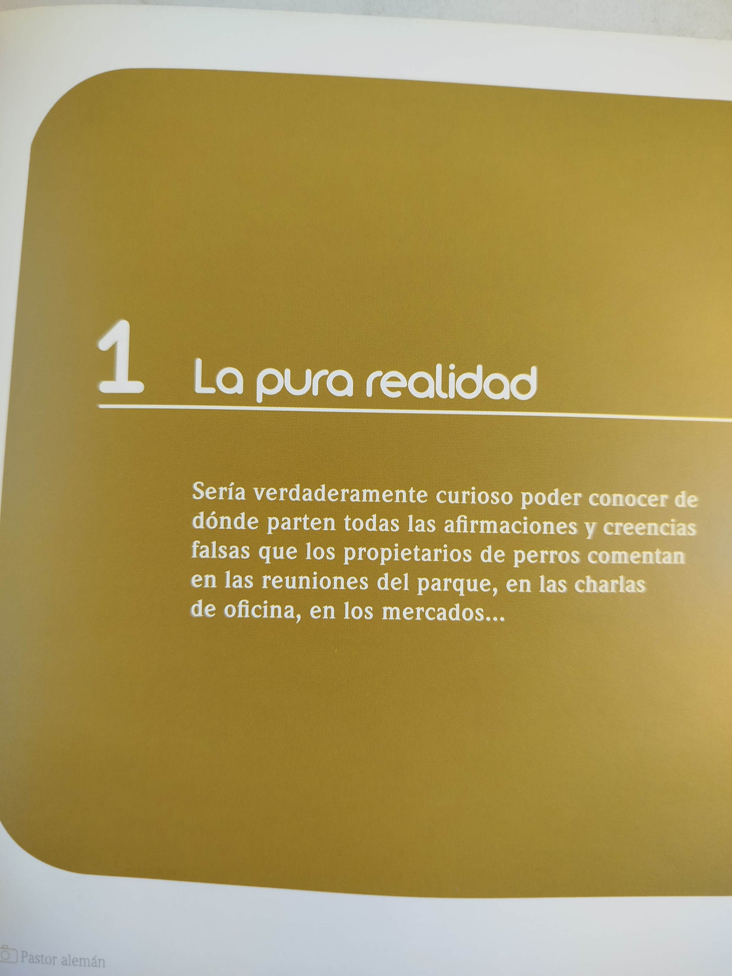 El encantador de perros 14 falsas creencias by Carlos Rodriguez