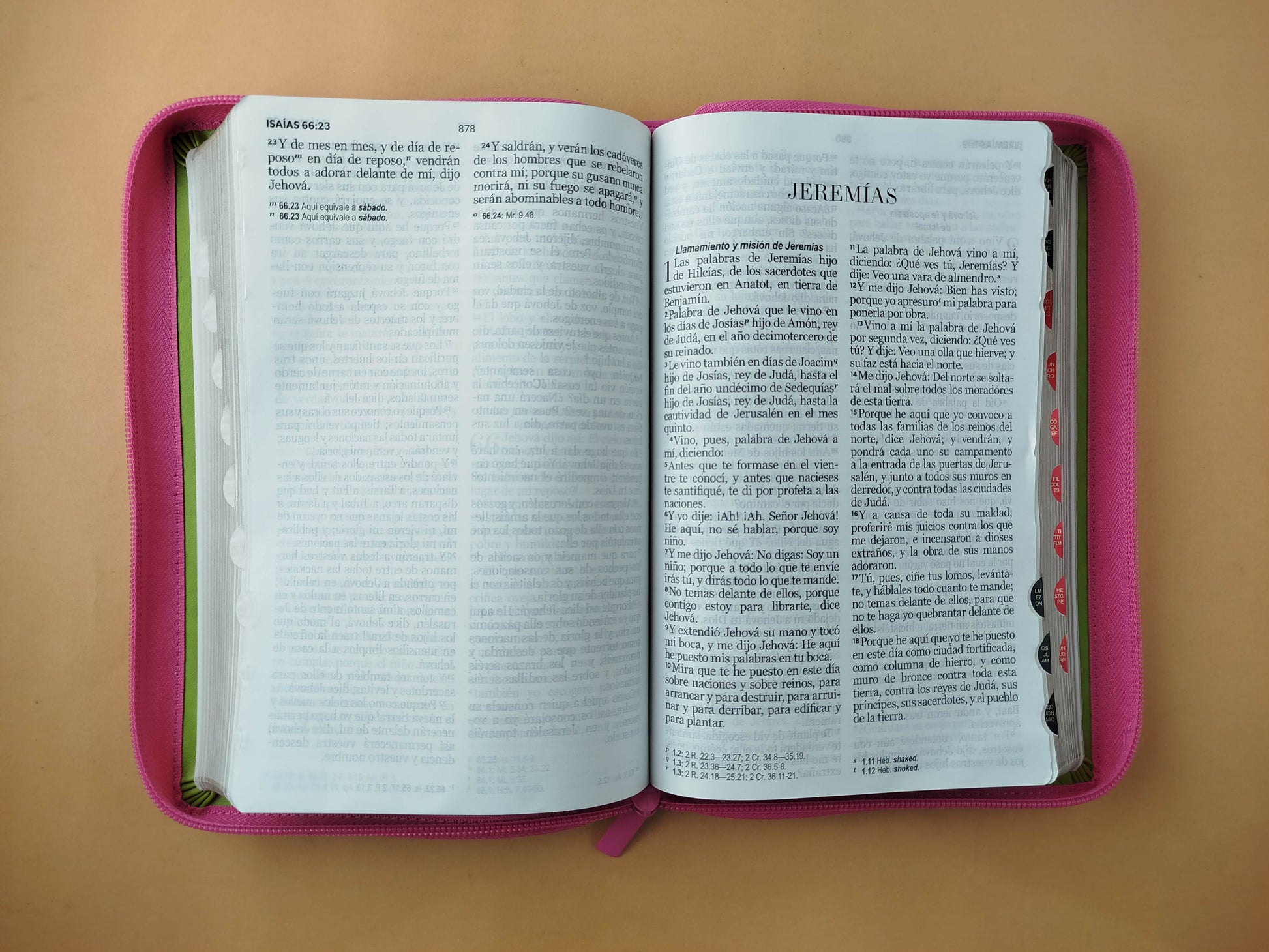 Biblia rvr 1960 tricolor fucsia - verde lima - cafè letra grande con cierre e índice by Reina Valera 1960