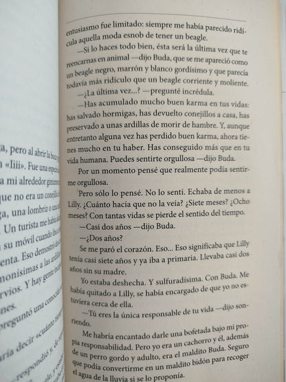 Maldito karma by david safier