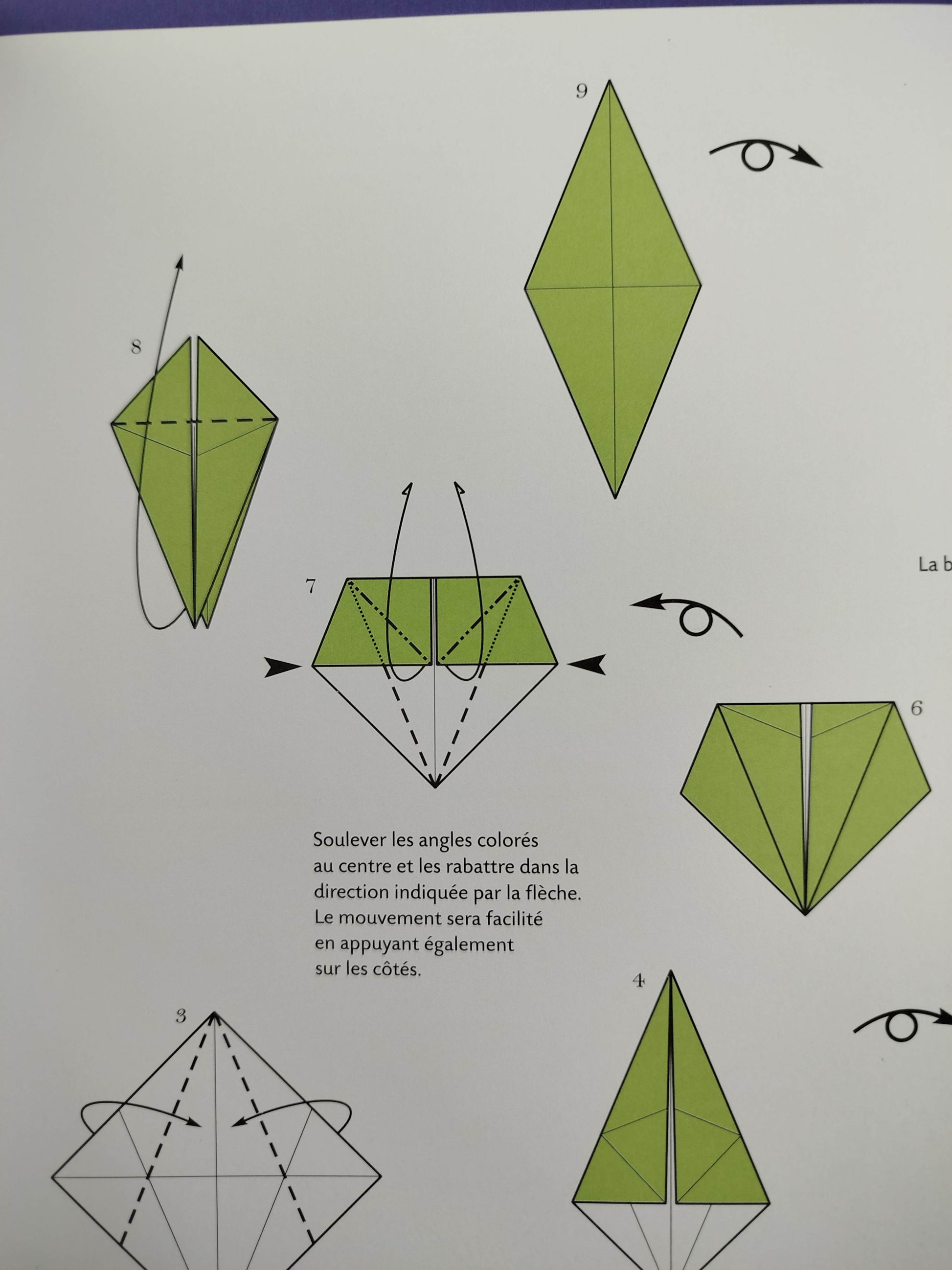 Leçons d'origami le livre pour devenir origamiste by Vanda Battaglia, Francesco Decio, Araldo De Luca