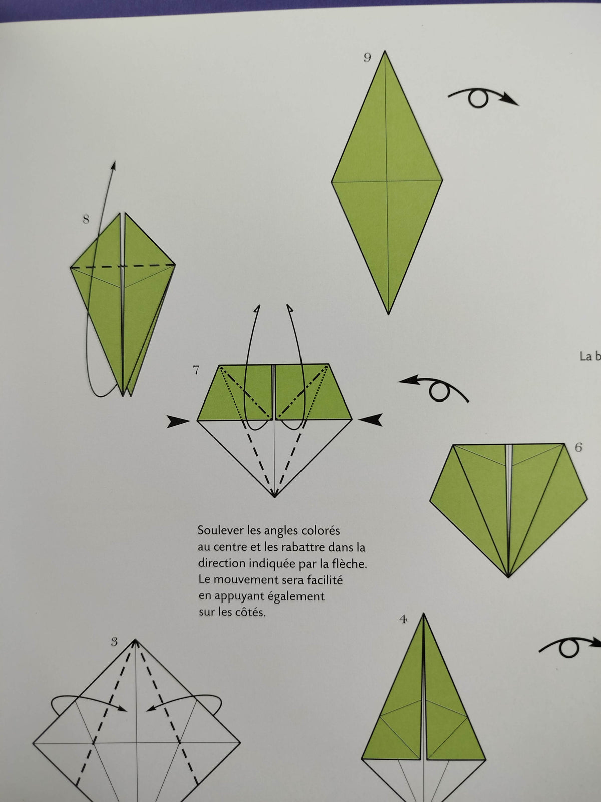 Leçons d'origami le livre pour devenir origamiste by Vanda Battaglia, Francesco Decio, Araldo De Luca