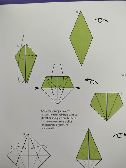 Leçons d'origami le livre pour devenir origamiste by Vanda Battaglia, Francesco Decio, Araldo De Luca